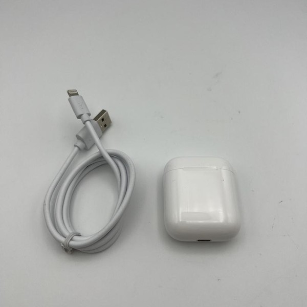 Apple AirPods 1st Gen - Lightning Case