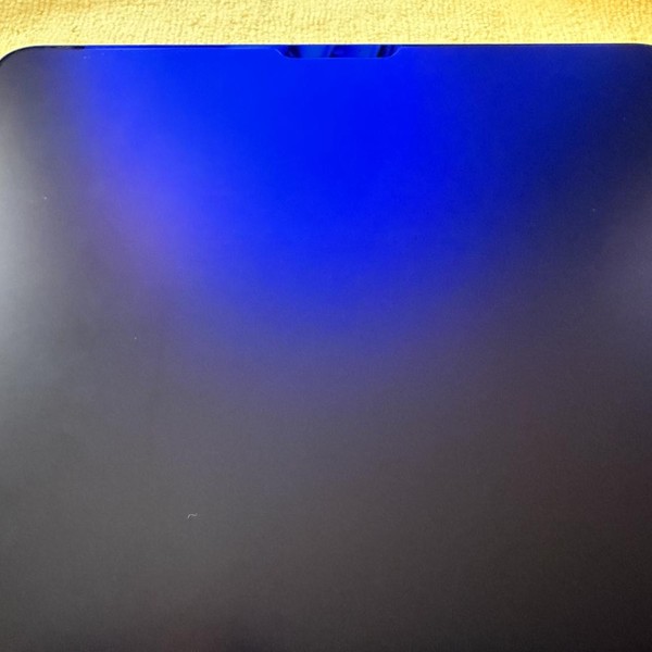 Apple iPad Pro 12.9 inch 5th Gen 2021 - Wi-Fi, 256 GB, Gray