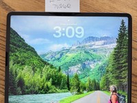 Apple iPad Pro 12.9" 4th Gen 2020