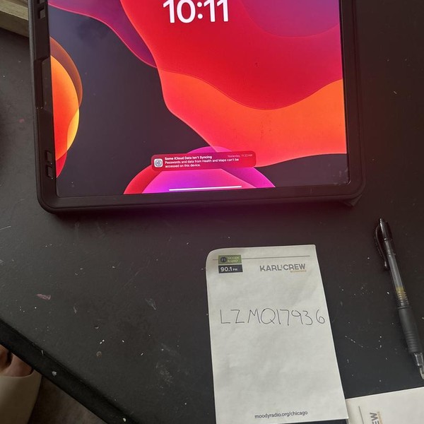 Apple iPad Pro 12.9 inch 4th Gen 2020 - Unlocked, 256 GB, Gray, A2069