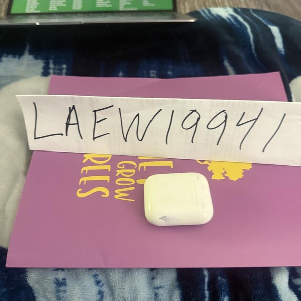 Apple AirPods (1st Gen) - Lightning Case