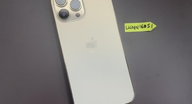 Good
													Apple iPhone 13 Pro Max - Unlocked, Gold, 256 GB, A2484, photo 2 of 6