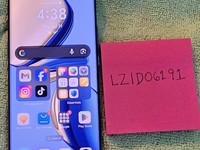 Honor Magic6 Pro