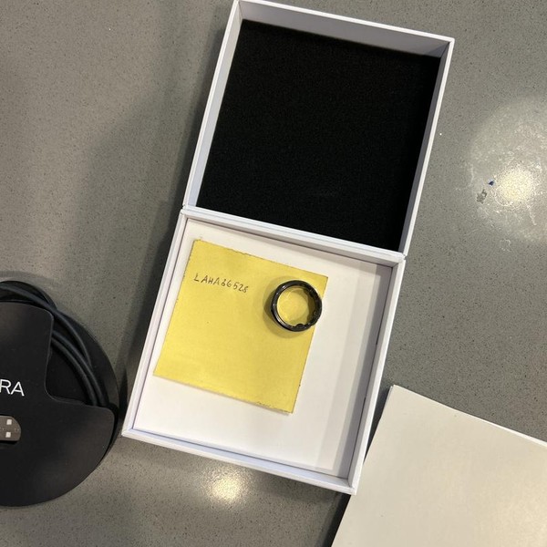 Oura Ring Gen 3 - Gray, Size 8, Horizon