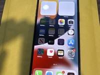 Apple iPhone 11 Pro Max