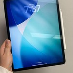 Mint Apple iPad Pro 12.9 inch 4th Gen 2020 - Wi-Fi, 256 GB, Gray, A2229