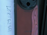 vivo X100 Pro
