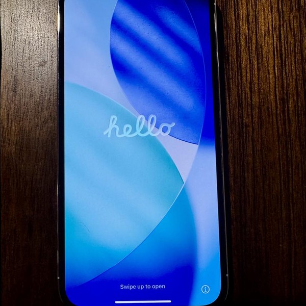 Apple iPhone 13 Pro Max - Unlocked, 256 GB, Silver, A2484