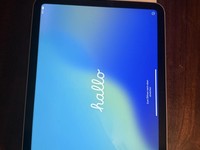 Apple iPad 11th Gen
