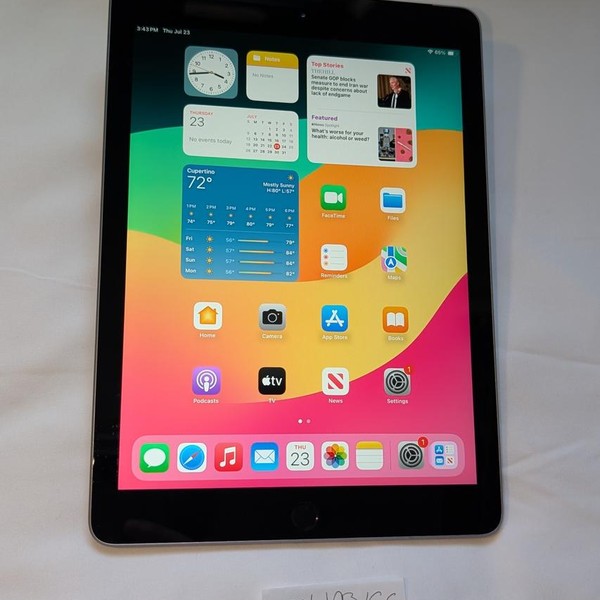 Apple iPad (6th Gen) - Unlocked, 32 GB, Gray, A1954