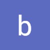 bipin b.