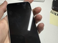 Apple iPhone 12 Mini
