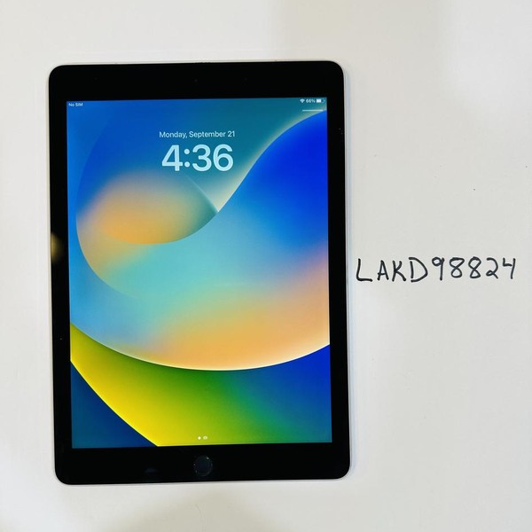Apple iPad Pro 9.7 inch - Unlocked, 256 GB, Silver, A1674
