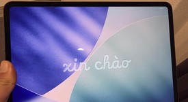 Mint
													Apple iPad Pro 13" (M4) 2024 - Unlocked, Black, 256 GB, 8 GB, A2926, Standard Glass, photo 5 of 21
