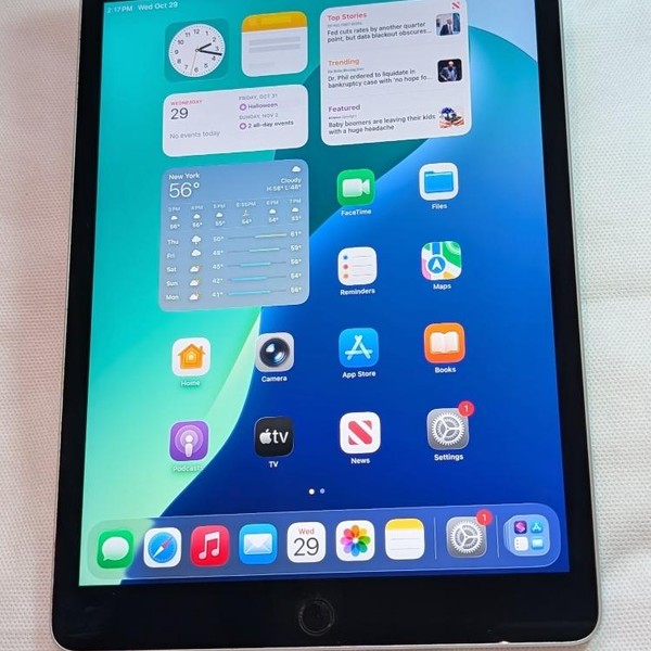 Apple iPad 9th Gen - Wi-Fi, 256 GB, Gray, A2602