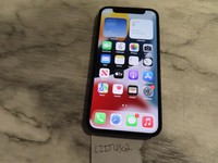 Apple iPhone 12 Mini