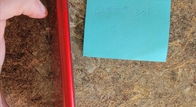 Good
													Apple iPhone Xr - AT&T, Red, 64 GB, A1984, photo 3 of 8