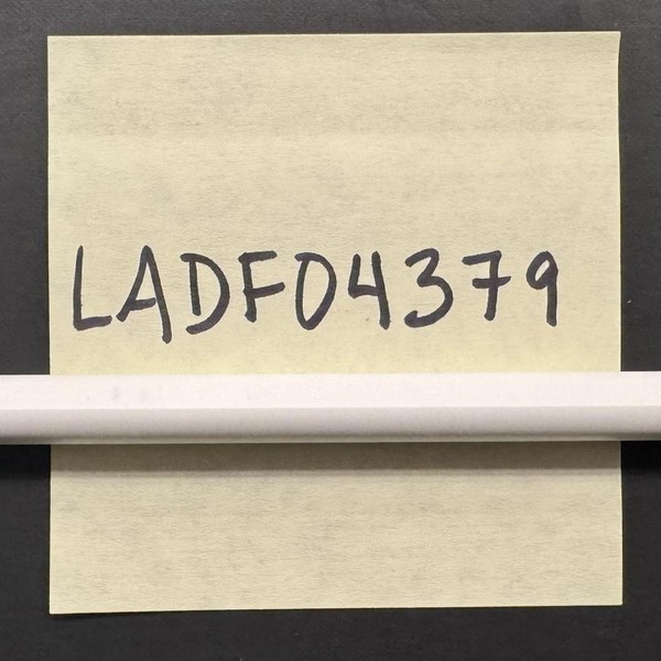 Apple Pencil 2nd Gen