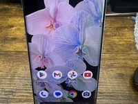 Google Pixel 6 Pro