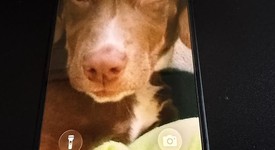 Good
													Apple iPhone 15 - AT&T, Black, 256 GB, A2846, photo 6 of 6