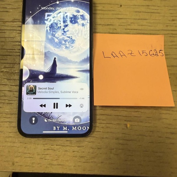 Apple iPhone 13 Pro - Verizon, 256 GB, Graphite, A2483