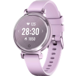 Mint Garmin Lily 2 - Silver, Active