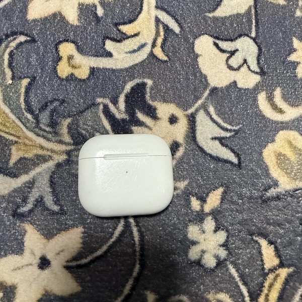 Apple AirPods (3rd Gen) - Lightning Case