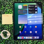 Good Apple iPad Pro 12.9 inch 5th Gen 2021 - Unlocked, 256 GB, Gray