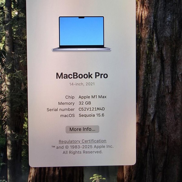 MacBook Pro 2021 - 14 inch - 512 GB, Gray, 32 GB, Apple M1 Max