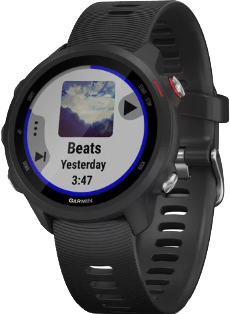 Garmin Forerunner 245 - Black, Music