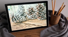 Good
													Microsoft Surface Pro 5 (2017) - Wi-Fi, Silver, 256 GB, 8 GB, photo 1 of 16
