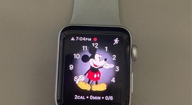 Good
													Apple Watch Series 3 38mm - Gray, A1858, Aluminum - GPS, photo 3 of 7