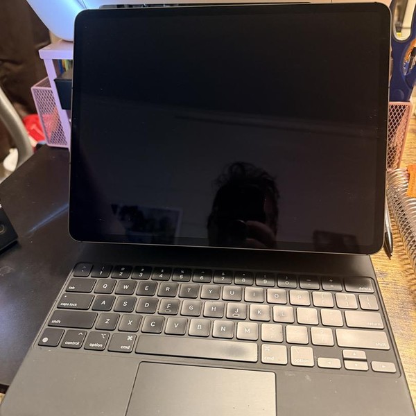 Apple iPad Pro 12.9 inch 5th Gen 2021 - Unlocked, 256 GB, Gray