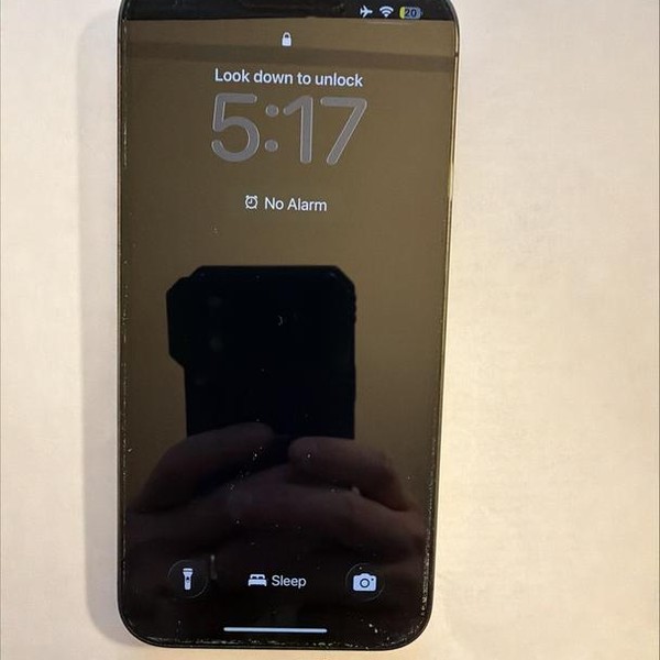 Apple iPhone 13 Pro Max - Unlocked, 128 GB, Graphite, A2484