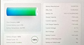 Mint
													Apple iPad Pro 11" 3rd Gen 2021 - Unlocked, Gray, 256 GB, photo 3 of 9