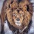 Seller: Santonio B.