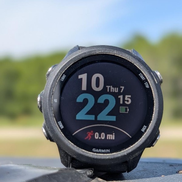 Garmin Forerunner 245 - Gray, Regular