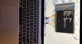 Mint
													MacBook Air 2019 - 13" - I5, Gray, 128 GB, 8 GB, photo 1 of 9