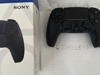DualSense Wireless Controller