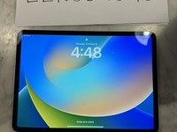 Apple iPad Pro 11" 4th Gen 2022
