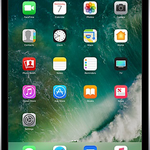 Mint Apple iPad Mini 4 - Wi-Fi, 16 GB, Silver