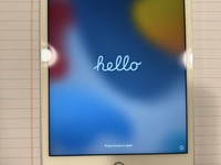 Apple iPad Mini 4