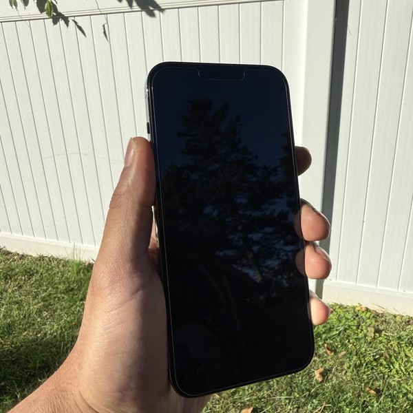 Apple iPhone 13 Pro Max - Unlocked, 256 GB, Green, A2484