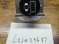 Google Pixel Watch