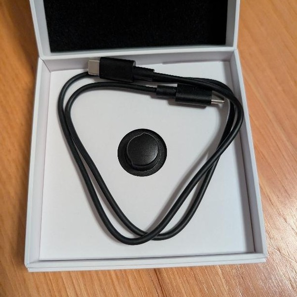 Oura Ring Gen 3 - Titanium, Size 8, Horizon