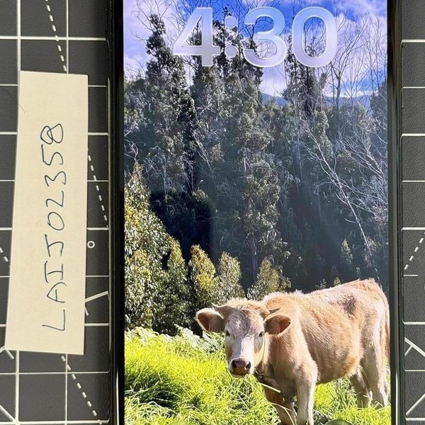 Apple iPhone 11 Pro Max - Unlocked, 512 GB, Gray, A2161