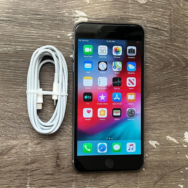 Apple iPhone 6 Plus - Unlocked, 16 GB, Gray, A1522