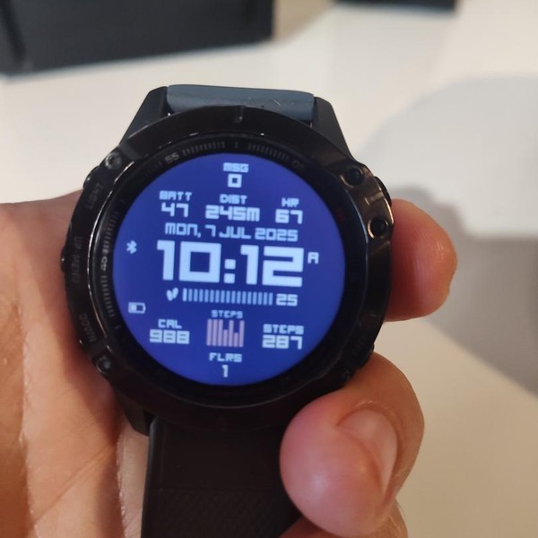 Garmin Fenix 6 - Black, Pro