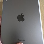 Good Apple iPad Mini (7th Gen) - Wi-Fi, 256 GB, Gray, A2993