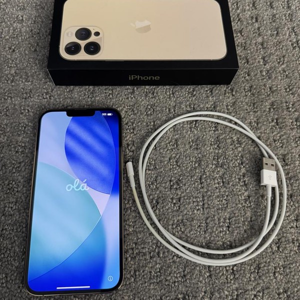 Apple iPhone 13 Pro Max - Unlocked, 128 GB, Gold, A2484